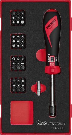 Teng Tools Destornillador dinamométrico aislado de 52 piezas de 1000 v –  Teng Tools USA